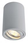 Накладной светильник Arte Lamp SENTRY A1560PL-1GY
