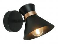 Спот Arte Lamp BALTIMORE A1406AP-1BK