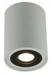 Накладной светильник Arte Lamp FALCON A5644PL-1WH