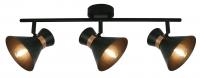 Спот Arte Lamp BALTIMORE A1406PL-3BK