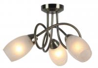 Потолочный светильник Arte Lamp MUTTI A8616PL-3AB