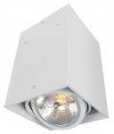 Технический светильник Arte Lamp CARDANI A5936PL-1WH