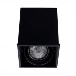 Накладной светильник Arte Lamp Cardani Black A5942PL-1BK