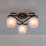 Потолочная люстра CITILUX Сюзи CL171134