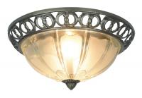 Настенно-потолочный светильник Arte Lamp PORCH A1306PL-2AB