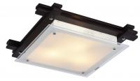 Настенно-потолочный светильник Arte Lamp ARCHIMEDE A6462PL-3CK