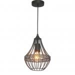 Подвесной светильник FAVOURITE Terra 1800-1P