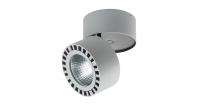 Светодиодный потолочный светильник Lightstar Forte 381393