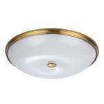 Потолочный светильник Odeon Light Pelow 4956/6